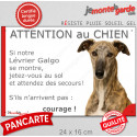 Lévrier Galgo bringé, plaque portail humour "Attention au Chien, Jetez Vous au Sol" 24 cm JET