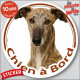 Lévrier Galgo Espagnol, sticker autocollant rond "Chien à Bord" Disque adhésif vitre voiture photo