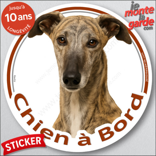 Lévrier Galgo Espagnol, sticker autocollant rond "Chien à Bord" Disque adhésif vitre voiture photo