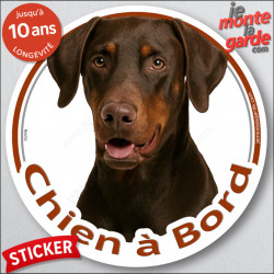 Dobermann marron, sticker autocollant rond "Chien à Bord" disque adhésif vitre voiture chien photo Doberman chocolat brun foie
