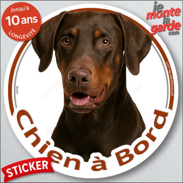 Dobermann marron, sticker autocollant rond "Chien à Bord" disque adhésif vitre voiture chien photo Doberman chocolat brun foie