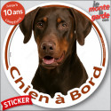 Dobermann marron, sticker voiture rond "Chien à Bord" 24 cm