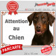 Dobermann marron chocolat et Feu Tête, Plaque portail extérieure "Attention au Chien" panneau affiche pancarte photo
