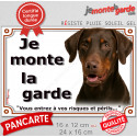 Dobermann marron, plaque extérieure "Je Monte la Garde, risques périls" 2 tailles LUX D