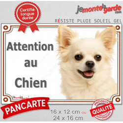 Chihuahua entièrement blanc à poils longs Tête, plaque portail "Attention au Chien" pancarte panneau photo