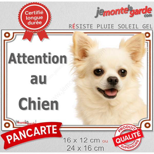 Chihuahua entièrement blanc à poils longs Tête, plaque portail "Attention au Chien" pancarte panneau photo
