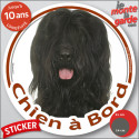 Briard noir, sticker voiture rond "Chien à Bord" 2 tailles D