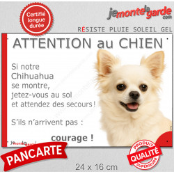 Chihuahua tout blanc à poils longs, plaque portail humour "Attention au Chien, Jetez Vous au Sol, attendez secours" photo