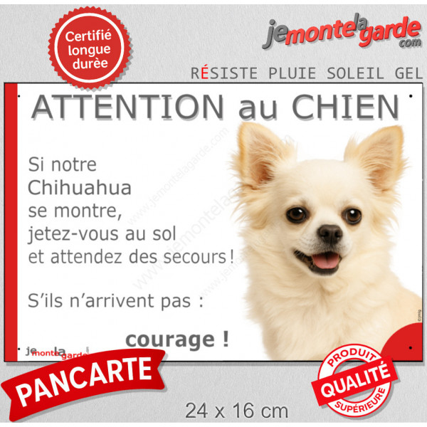 Chihuahua tout blanc à poils longs, plaque portail humour "Attention au Chien, Jetez Vous au Sol, attendez secours" photo