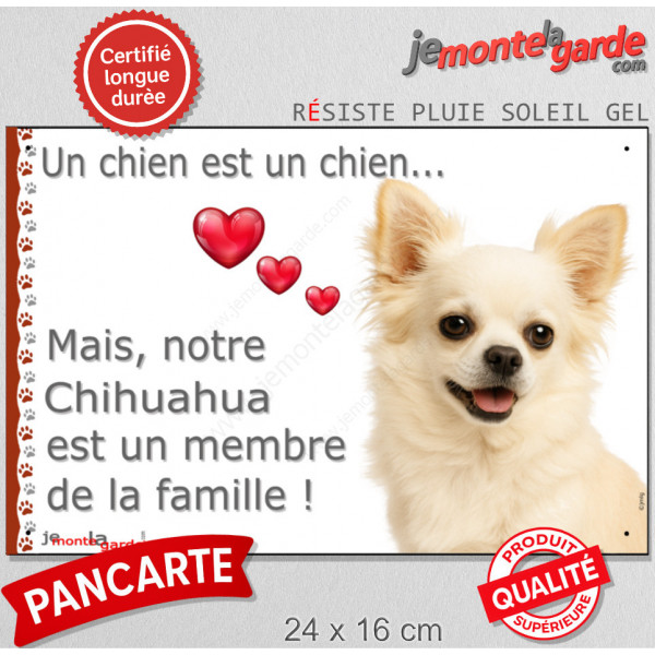 Chihuahua tout blanc poils longs, plaque extérieure "Un chien est Membre de la Famille" photo coeur idée cadeau cadre