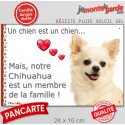 Chihuahua blanc poils longs, plaque extérieure "Membre de la Famille" 24 cm LOVE
