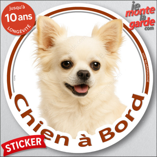 Chihuahua entièrement blanc poils longs, sticker autocollant rond "Chien à Bord" Disque photo adhésif vitre voiture
