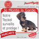 Teckel Poils Durs Assis, Plaque Portail rouge "Je Monte la Garde, surveille protège" pancarte, affiche panneau photo