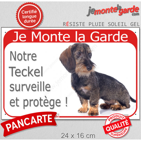 Teckel Poils Durs Assis, Plaque Portail rouge "Je Monte la Garde, surveille protège" pancarte, affiche panneau photo