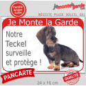 Teckel Poils Durs, plaque rouge "Je Monte la Garde, surveille protège" 24 cm RED