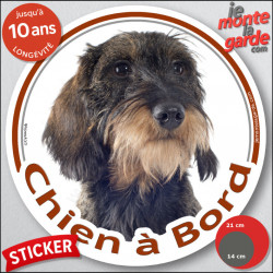 Teckel marron sanglier à poils durs, sticker autocollant rond "Chien à Bord" Disque adhésif vitre voiture photo