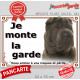 Shar-Peï marron chocolat, plaque portail "Je Monte la Garde, risques périls" bringué marron pancarte panneau photo Sharpei brun