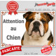 Bulldog Anglais tricolore, plaque portail extérieure "Attention au Chien" pancarte panneau photo