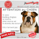 Bulldog Anglais tricolore, plaque portail humour "Attention au Chien, Jetez Vous au Sol, attendez secours, courage" photo