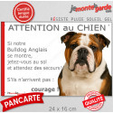Bulldog Anglais tricolore, plaque extérieure humour "Attention au Chien, Jetez Vous au Sol" 24 cm JET