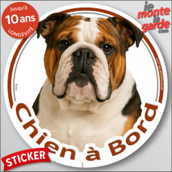 Bulldog Anglais tricolore Tête , sticker autocollant rond "Chien à Bord" Disque photo adhésif voiture auto