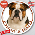 Bulldog Anglais tricolore, sticker voiture rond "Chien à Bord" 14 cm