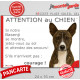 Basenji bringé, pancarte portail humour "Attention au Chien, Jetez Vous au Sol, attendez secours, courage" photo bassenji zébré