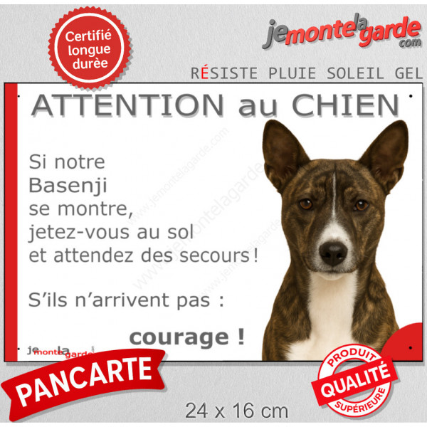 Basenji bringé, pancarte portail humour "Attention au Chien, Jetez Vous au Sol, attendez secours, courage" photo bassenji zébré