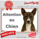 Basenji bringé, plaque portail extérieure "Attention au Chien" pancarte panneau photo bassenji rayé zébré