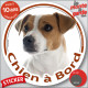 Jack Russell Terrier blanc et fauve marron Tête, sticker autocollant rond "Chien à Bord" adhésif vitre voiture photo