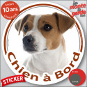Jack Russell terrier fauve, sticker voiture rond "Chien à Bord" 2 tailles D