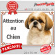 Shih-Tzu or gold et blanc Tête, plaque portail "Attention au Chien" pancarte panneau photo affiche shitsu fauve