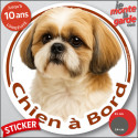 Shih-tzu or gold et blanc, sticker voiture rond "Chien à Bord" 2 tailles D