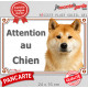Akita Inu Japonais fauve et blanc, plaque portail "Attention au Chien" pancarte panneau photo