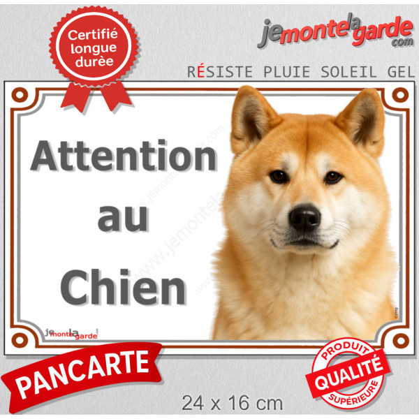 Akita Inu Japonais fauve et blanc, plaque portail "Attention au Chien" pancarte panneau photo