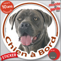 Cane Corso gris, sticker voiture rond "Chien à Bord" 2 tailles D