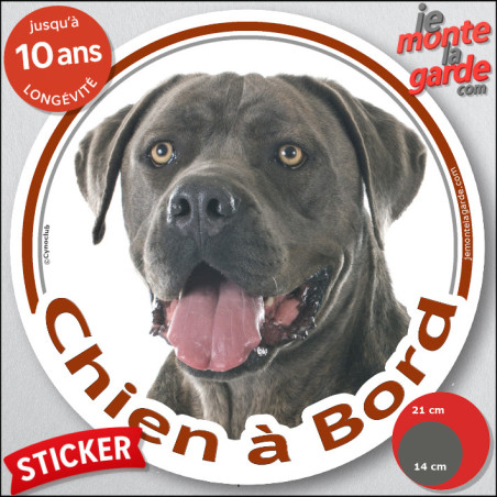 Cane Corso gris bleu, sticker autocollant rond "Chien à Bord" disque adhésif vitre voiture bringé photo, résiste pluie soleil ge