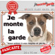 Amstaff Fauve et Blanc Tête, plaque portail "Je Monte la Garde risques périls" photo American Staff terrier attention chien 