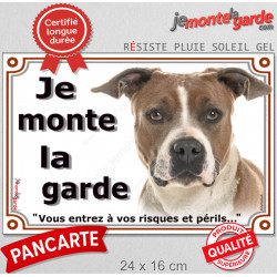 Amstaff Fauve et Blanc Tête, plaque portail "Je Monte la Garde risques périls" photo American Staff terrier attention chien 