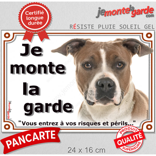 Amstaff Fauve et Blanc Tête, plaque portail "Je Monte la Garde risques périls" photo American Staff terrier attention chien 
