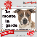 Amstaff fauve, plaque portail "Je Monte la Garde, risques périls" 24 cm LUX D