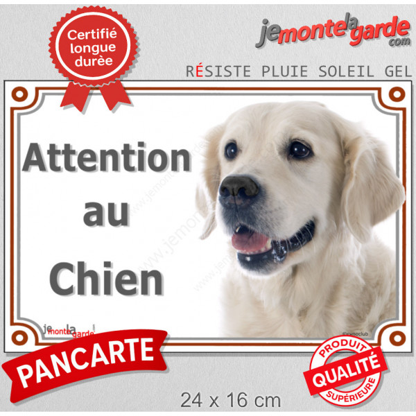 Golden Retriever tête, plaque portail "Attention au Chien" pancarte photo entrée, panneau rue race porte sable blanc clair