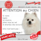 Spitz Nain crème, Loulou Poméranie, plaque portail humour "Attention au Chien, Jetez Vous au Sol, attendez secours, courage"