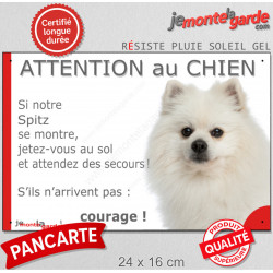Spitz Nain crème, Loulou Poméranie, plaque portail humour "Attention au Chien, Jetez Vous au Sol, attendez secours, courage"