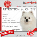 Spitz blanc, plaque portail humour "Attention au Chien, Jetez Vous au Sol" 24 cm JET