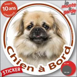 Epagneul Tibétain fauve, disque photo autocollant "Chien à Bord" Sticker adhésif rond vitre voiture