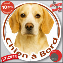 Beagle lemon, sticker voiture rond "Chien à Bord" 2 tailles D