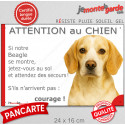 Beagle lemon, plaque portail humour "Attention au Chien, Jetez Vous au Sol" 24 cm JET