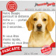 Beagle lemon jaune citron et blanc, plaque humour "parcourt distance Niche-Portail moins 3 secondes" photo attention chien