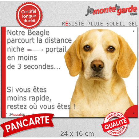 Beagle lemon jaune citron et blanc, plaque humour "parcourt distance Niche-Portail moins 3 secondes" photo attention chien